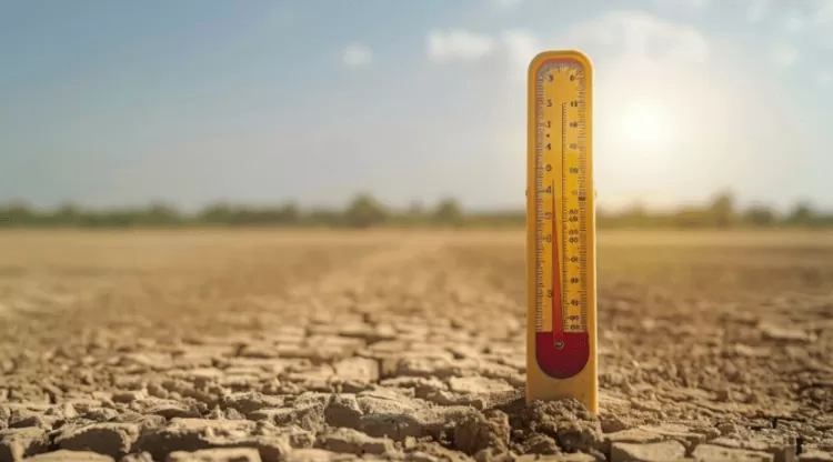 Meteoroloji kayıtlarının başlamasından bu yana en sıcak yaz